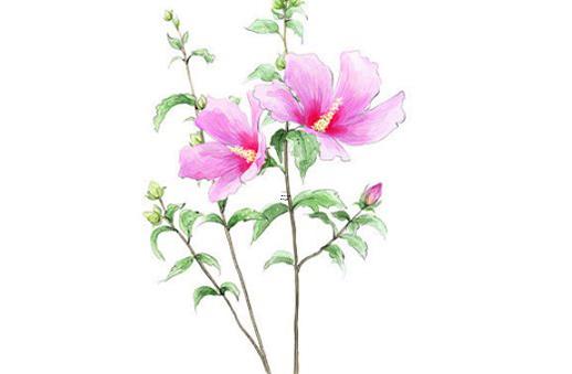 算命說贈夫之命什么意思 贈夫人什么意思