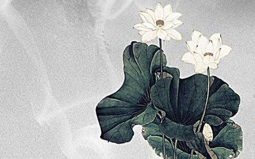 屬兔穿什么顏色衣服適合，屬兔穿什么顏色衣服旺偏財