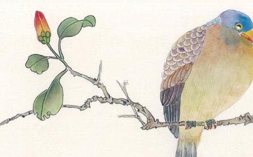 屬羊屬虎合作伙伴好嗎 屬羊人和屬虎人能合伙人