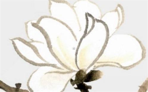屬龍12月出生的好嗎 屬龍的12月出生是啥命