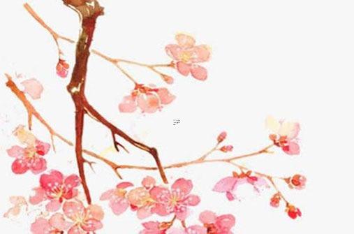 屬狗年齡表大全，屬狗年齡表對應歲數