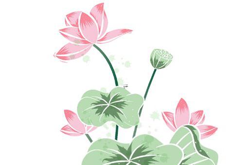 離婚配送的東西怎么分 離婚物品