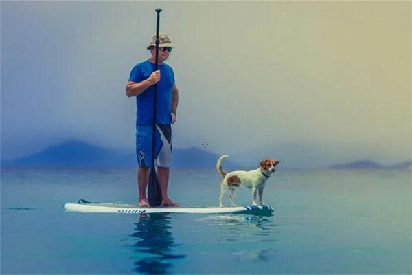 工作經常出現問題的人都有什么面相特征,工作中出現問題的原因 工作經常出現問題的人都有什么面相特征,工作中出現問題的原因