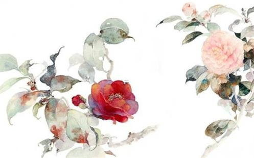 屬龍的和屬兔的為什么不和 屬龍不能跟屬兔的在一起嗎 屬龍的和屬兔的為什么不和 屬龍不能跟屬兔的在一起嗎