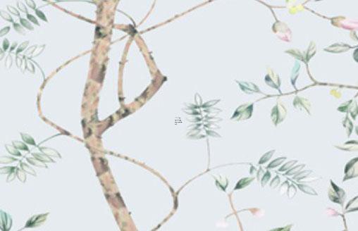 烏龜?shù)奈逍袑傩允鞘裁?烏龜?shù)奈逍械降资菍倩疬€是屬水