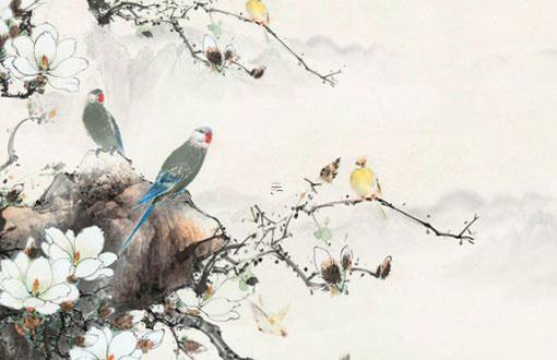 87屬兔一生有幾次劫難 1987生肖兔一生有幾劫