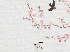 算命的說我是重婚命是什么意思 算命說重婚八字可以破解嗎