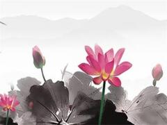 2023屬虎財(cái)運(yùn)和健康運(yùn)勢,2023屬虎人運(yùn)勢及運(yùn)程