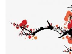 屬虎男和屬馬女,屬虎男和屬馬女合財嗎