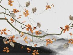 八字五行代表身體什么意思 八字五行看身體疾病類型