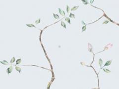 1996年是屬什么的 1996今年多大了