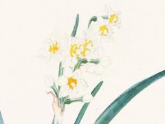 李多海八字婚姻分析 李多海婚期