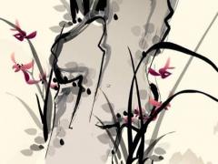 屬豬的下周大事,屬豬下半年