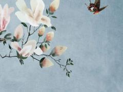 2023本命年能不能穿紅色,2023年本命年適不適合穿紅色