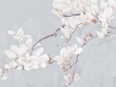 68屬猴今年的運氣 68年屬猴的今年運程