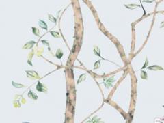 屬虎人多少歲結(jié)婚 屬虎多少歲結(jié)婚好