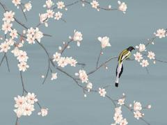 屬兔女孩出生的四個最佳時辰 2023兔女孩出生的什么時辰好