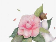 屬兔男人配什么屬相女最好,屬兔男配偶女什么最合適