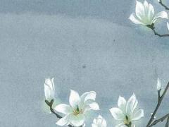 深宮曲子嗣多大可以婚配皇后 深宮曲子嗣結婚后