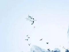 屬雞女與兔男的婚姻與命運如何 屬雞女和屬兔男的合適嗎