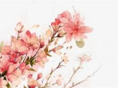 屬兔的人家里掛什么中堂畫,屬兔的掛什么畫在家里合適