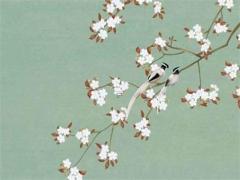 98年虎和98年虎相配嗎 98年屬虎的和98年屬虎的配嗎