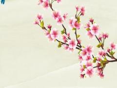 今年本命年戴什么轉運,今年本命年戴什么好呢