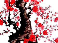 生辰八字坐的什么字 坐是什么意思