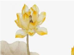 生生辰八字是只什么意思 生辰八字指的是生日嗎