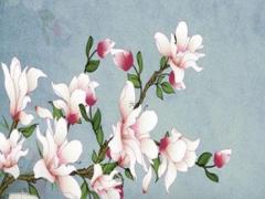 1959年的屬豬人幾月出生好,1959年屬豬幾月份的好