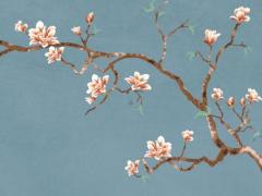 女人額頭有痣是貴夫人 女人額頭有痣克夫嗎