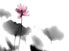 八字頭的偏旁是什么 八字頭的偏旁有哪些字