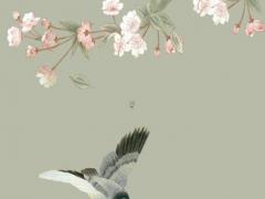 明年2023年的本命年的運勢,明年2023年的本命年的運勢怎么樣