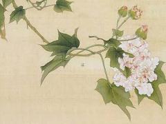 婚姻和八字的關系 婚姻和生辰八字有關系嗎