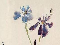 這是算命的說的話是什么意思 算命的人常說的幾句話