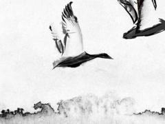 能嫁貴夫的女命八字新聞 能嫁貴夫的面相和手相