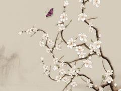 屬猴的應該找什么生肖,屬猴的要找個什么生肖