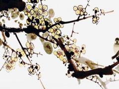 怎么從出生時間看四柱八字 怎么從出生日期看八字