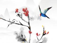 八字說夫婦兩硬相對(duì)是啥意思 兩夫妻命都硬相克嗎