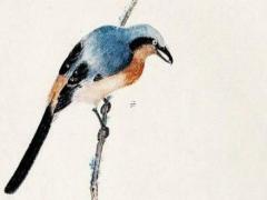 十二生肖男雞和女雞婚配好嗎 男雞和女雞的屬相合不合