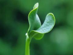 夢見送書給別人