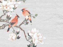 測雙方名字姻緣免費 免費兩人名字測試姻緣