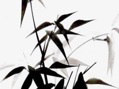 神巴巴八字看仙緣 從八字能看出仙緣什么仙嗎