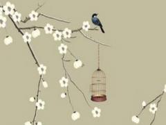 懷孕什么時間最好 懷孕什么時間最佳時機