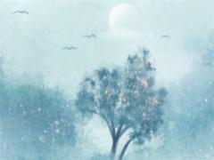 八字中年柱為正官是什么意思啊 八字中年柱正印是什么意思