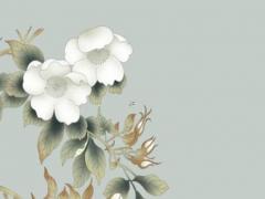 摩羯粘人代表什么 摩羯特別粘人