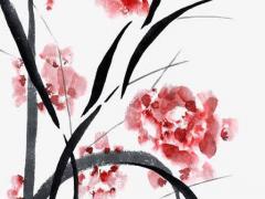 72年屬鼠男配87年兔,72年鼠男和87年兔女