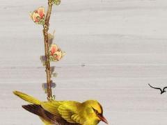 算命好嗎算的是事業 算命是好是壞