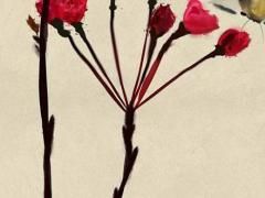 八字地支子丑合代表什么 地支子丑合的男女關系