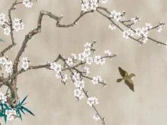 屬兔本命年佩戴什么吊墜比較好,屬兔本命年戴什么首飾好